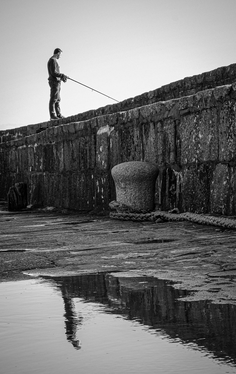 fisherman, reflection, fishing, sea, nature, harbour, gray fish, gray fishing
